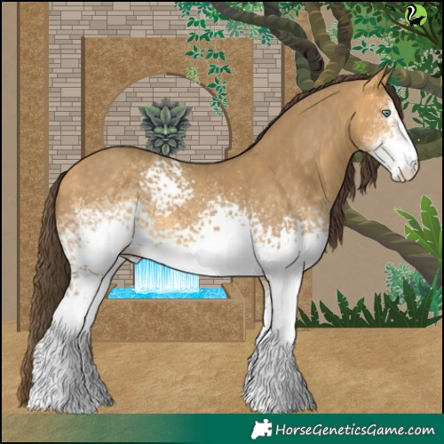 Horse Color:White Spotted Sable Cream Champagne 