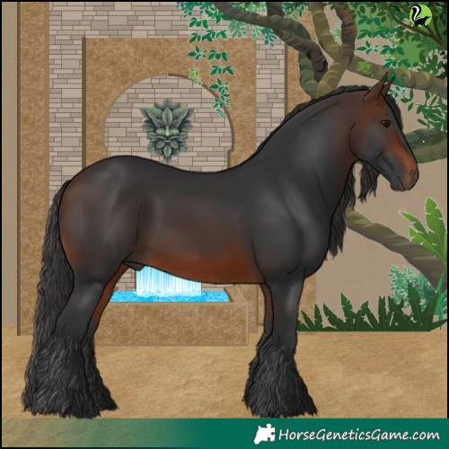 Horse Color:Brown 