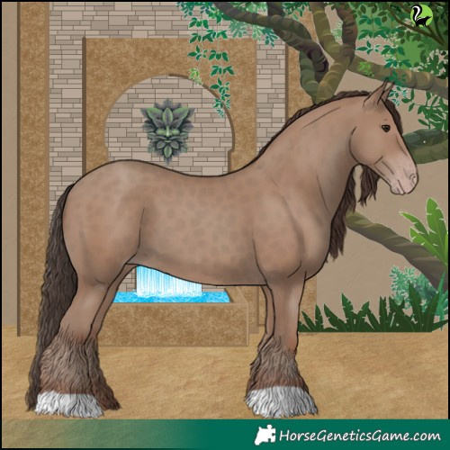 Horse Color:Classic Champagne