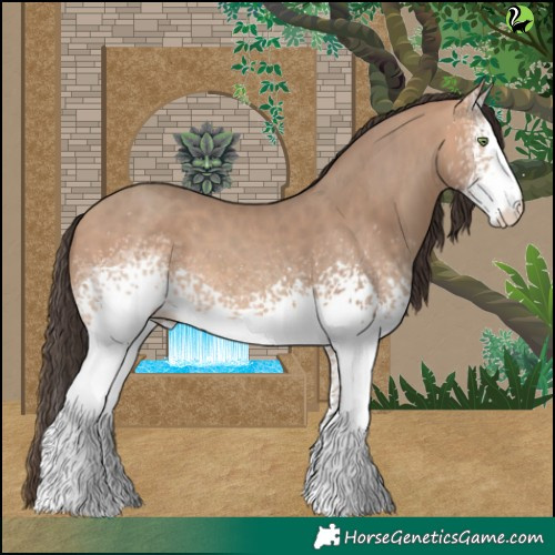 Horse Color:White Spotted Amber Champagne 