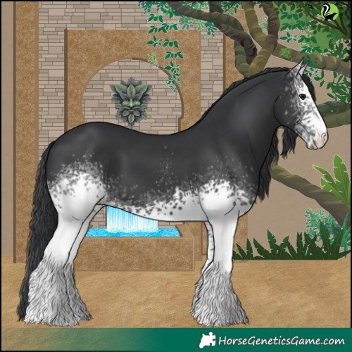 Horse Color:White Spotted Black 