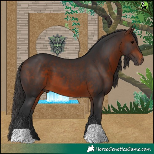 Horse Color:Brown 