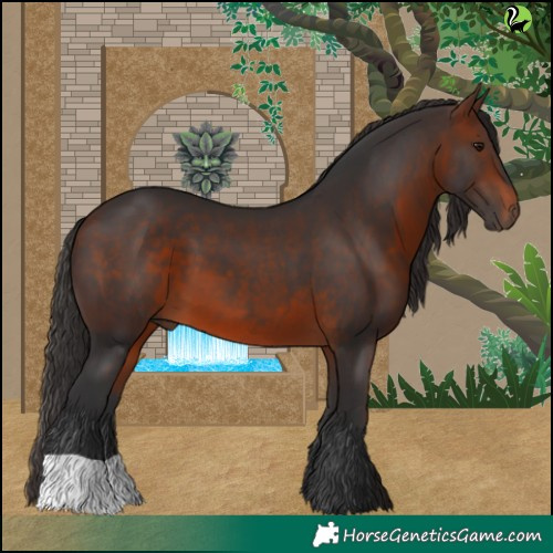 Horse Color:Brown 