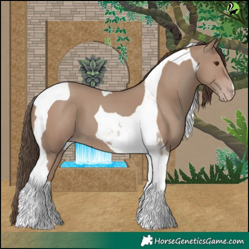 Horse Color:Classic Champagne Tobiano