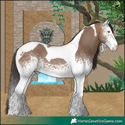 Horse Color:White Spotted Sable Champagne Tobiano 