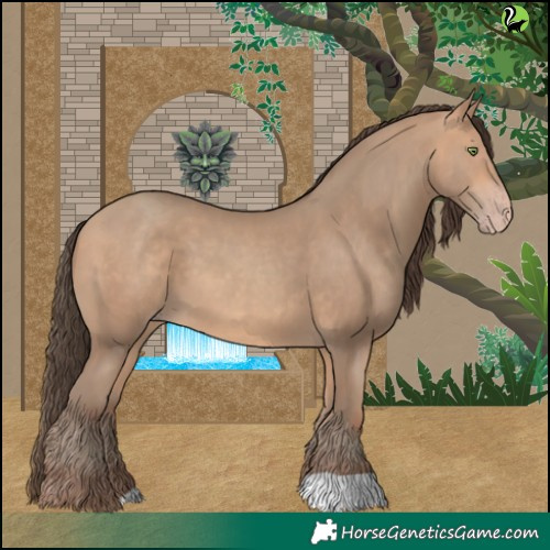 Horse Color:Amber Champagne 