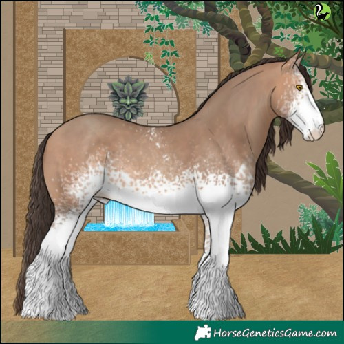 Horse Color:White Spotted Amber Champagne 