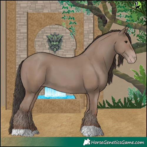 Horse Color:Classic Champagne 