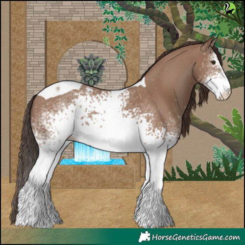 Horse Color:White Spotted Classic Champagne Tobiano 