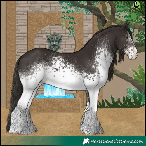 Horse Color:White Spotted Liver Chestnut 