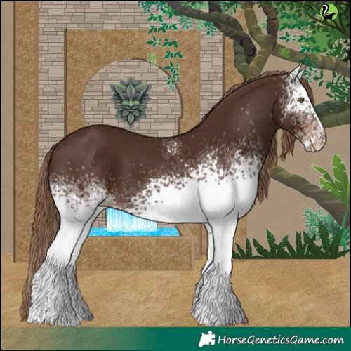 Horse Color:White Spotted Liver Chestnut 
