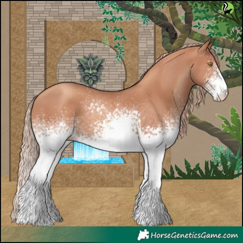 Horse Color:White Spotted Gold Champagne