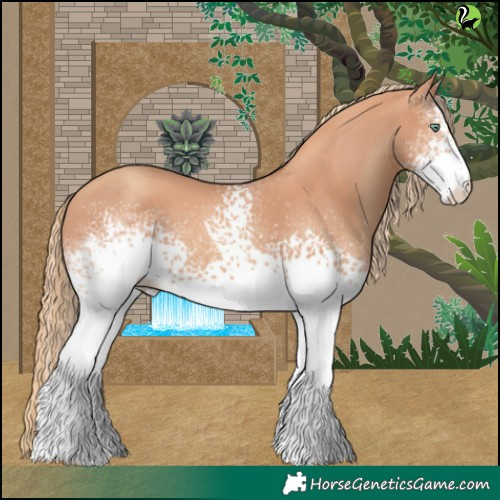 Horse Color:White Spotted Gold Champagne 