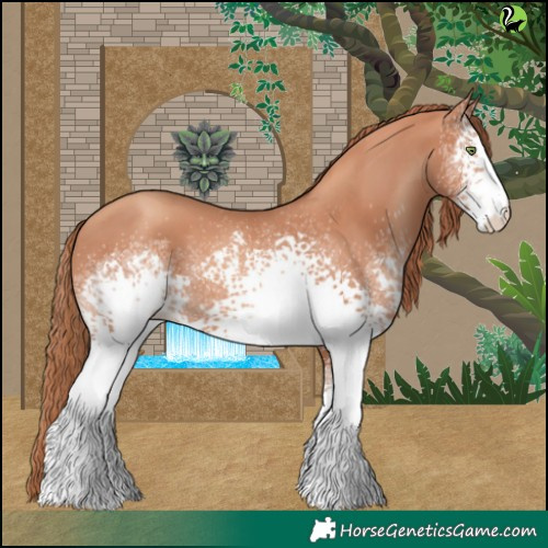 Horse Color:White Spotted Gold Champagne 