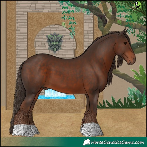 Horse Color:Liver Chestnut 