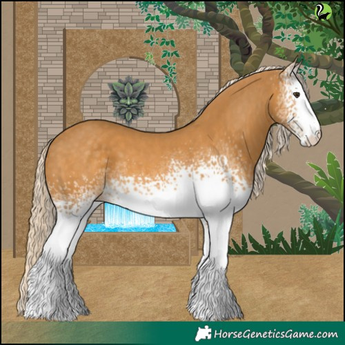 Horse Color:White Spotted Palomino 