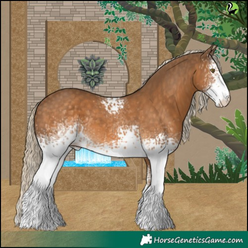 Horse Color:White Spotted Chocolate Palomino 