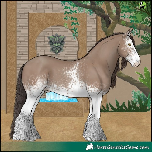 Horse Color:White Spotted Classic Champagne