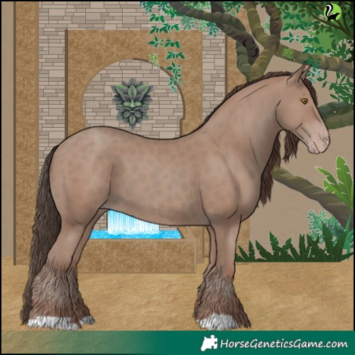 Horse Color:Classic Champagne