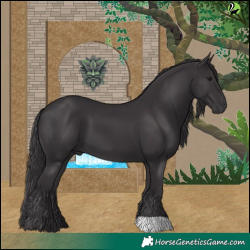 Horse Color:Smoky Black 