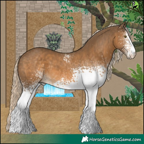 Horse Color:White Spotted Chocolate Palomino 