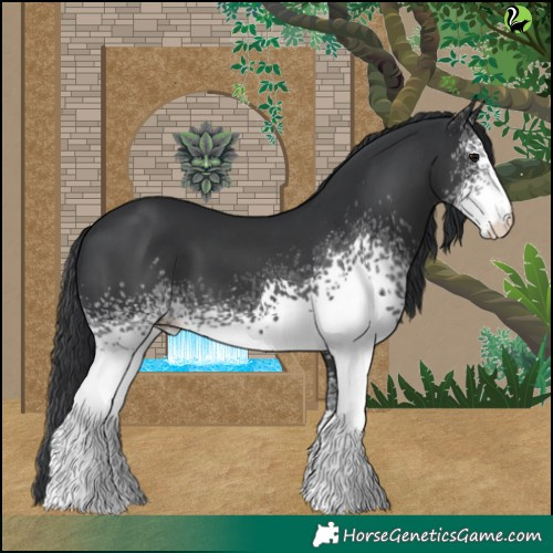 Horse Color:White Spotted Black 
