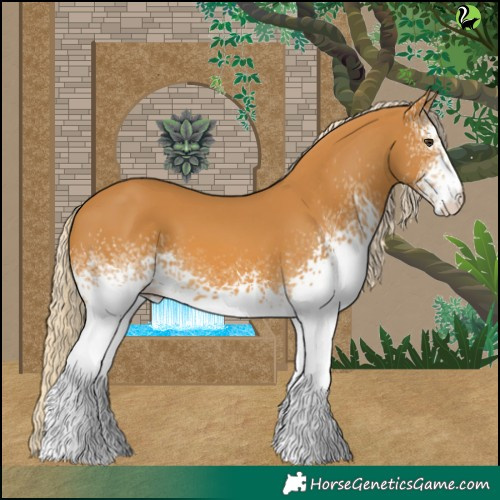 Horse Color:White Spotted Palomino 