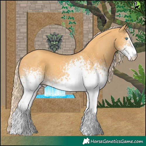 Horse Color:White Spotted Gold Cream Champagne 