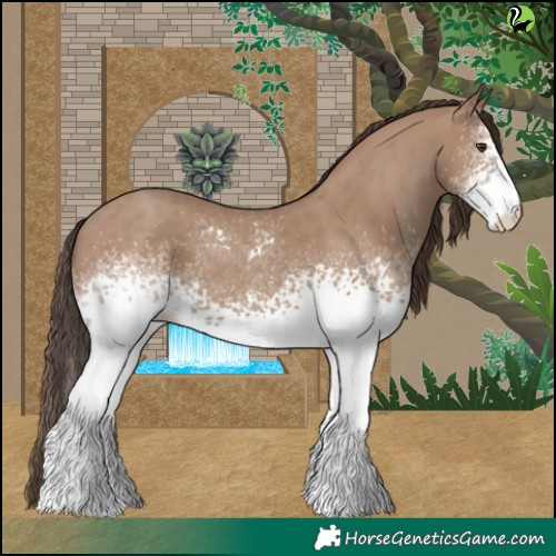 Horse Color:White Spotted Classic Champagne 