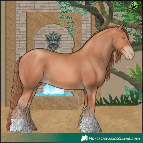 Horse Color:Gold Champagne 