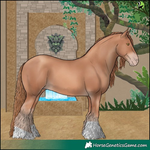 Horse Color:Gold Champagne 
