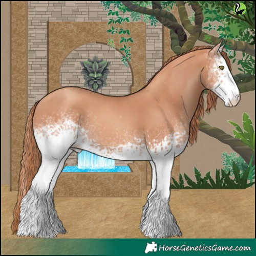 Horse Color:White Spotted Gold Champagne