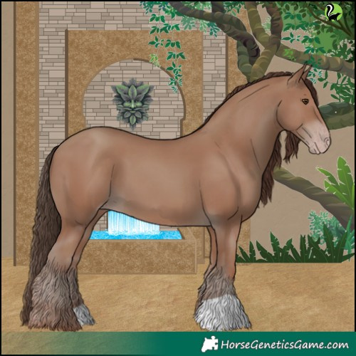 Horse Color:Classic Champagne 