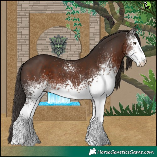 Horse Color:White Spotted Liver Chestnut 