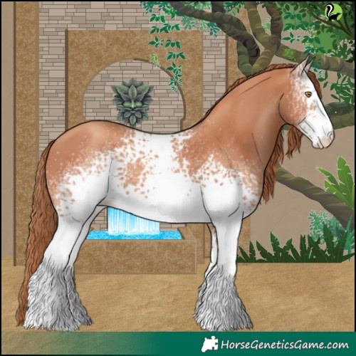 Horse Color:White Spotted Gold Champagne 