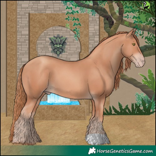 Horse Color:Gold Champagne 