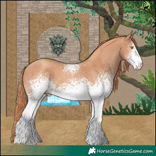 Horse Color:White Spotted Gold Champagne