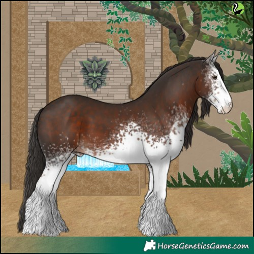 Horse Color:White Spotted Liver Chestnut 