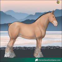 Horse Color:Gold Champagne