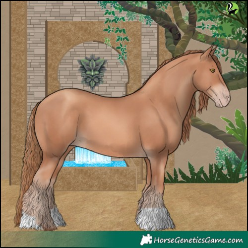 Horse Color:Gold Champagne