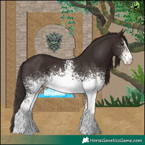 Horse Color:White Spotted Liver Chestnut 