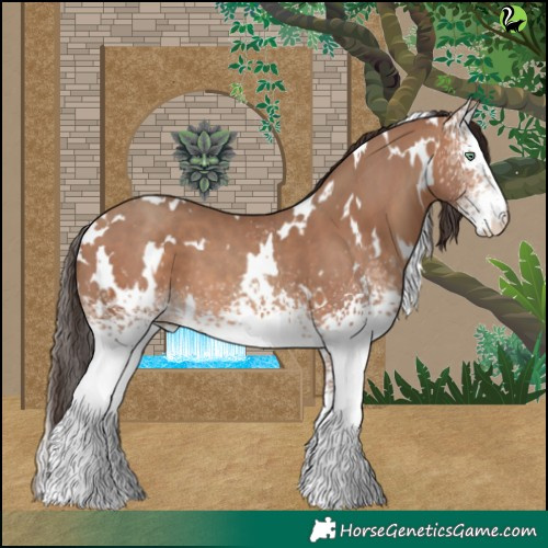 Horse Color:White Spotted Sable Champagne 