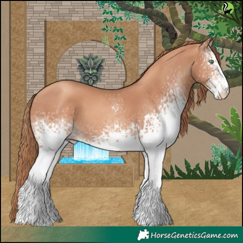 Horse Color:White Spotted Gold Champagne 