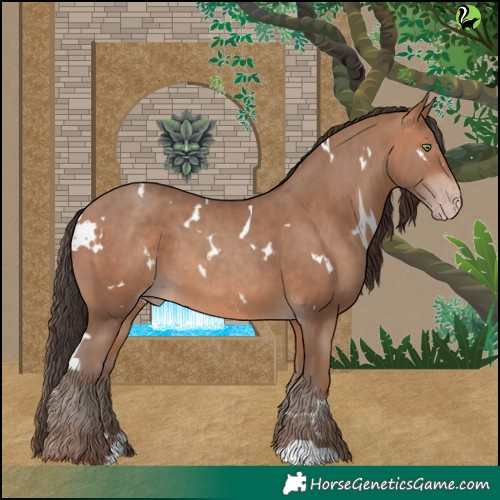 Horse Color:White Spotted Sable Champagne 