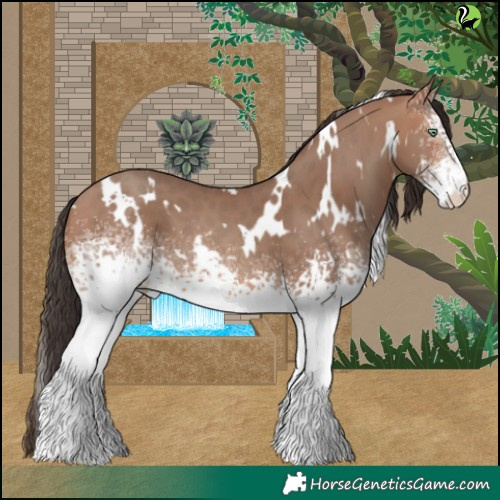 Horse Color:White Spotted Sable Champagne 