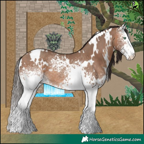 Horse Color:White Spotted Sable Champagne 