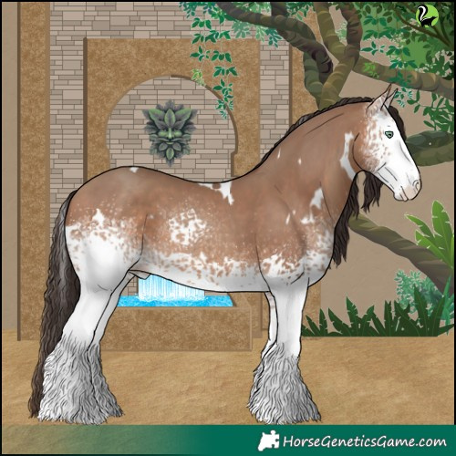 Horse Color:White Spotted Sable Champagne 