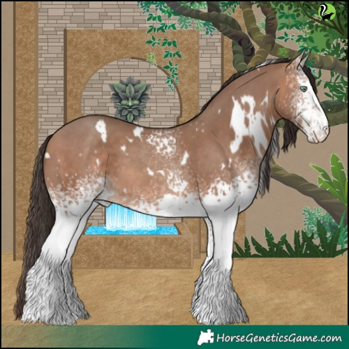 Horse Color:White Spotted Sable Champagne 