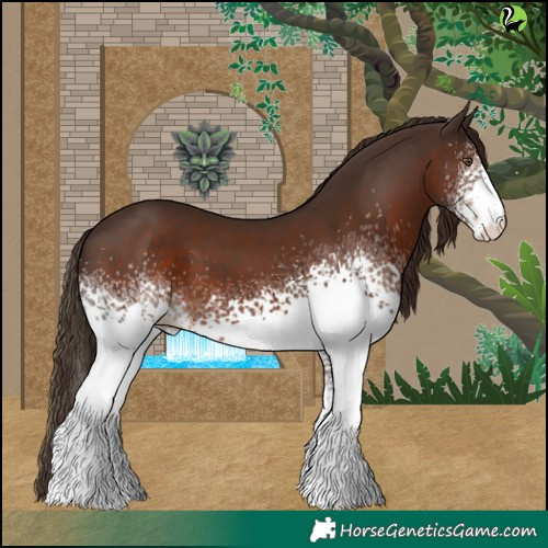Horse Color:White Spotted Liver Chestnut 