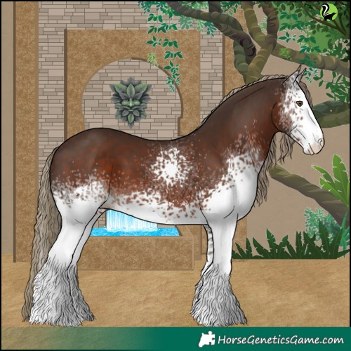 Horse Color:White Spotted Liver Chestnut 